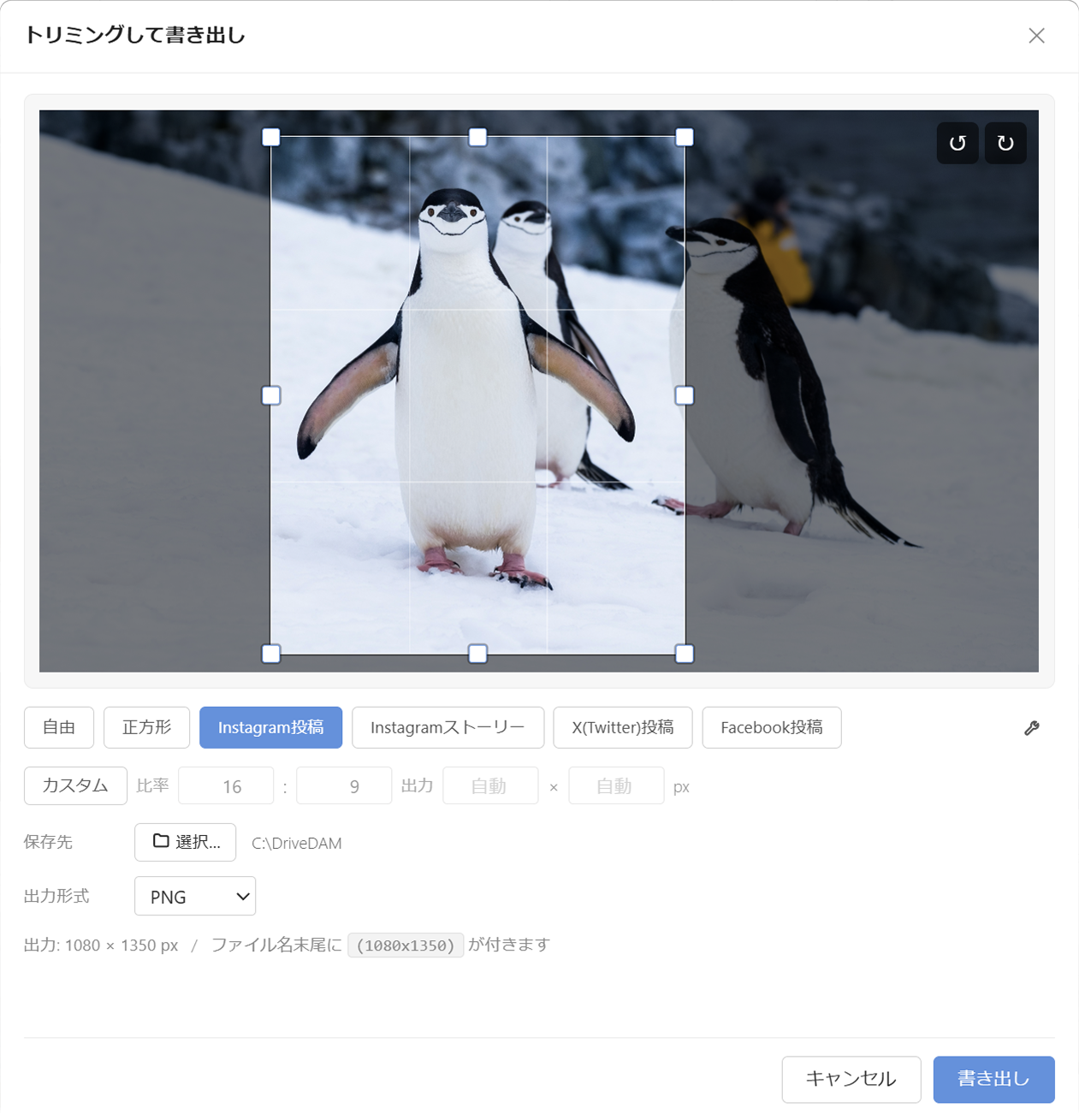 トリミングして書き出しダイアログ全体。比率プリセットとカスタム比率を選んで切り抜き