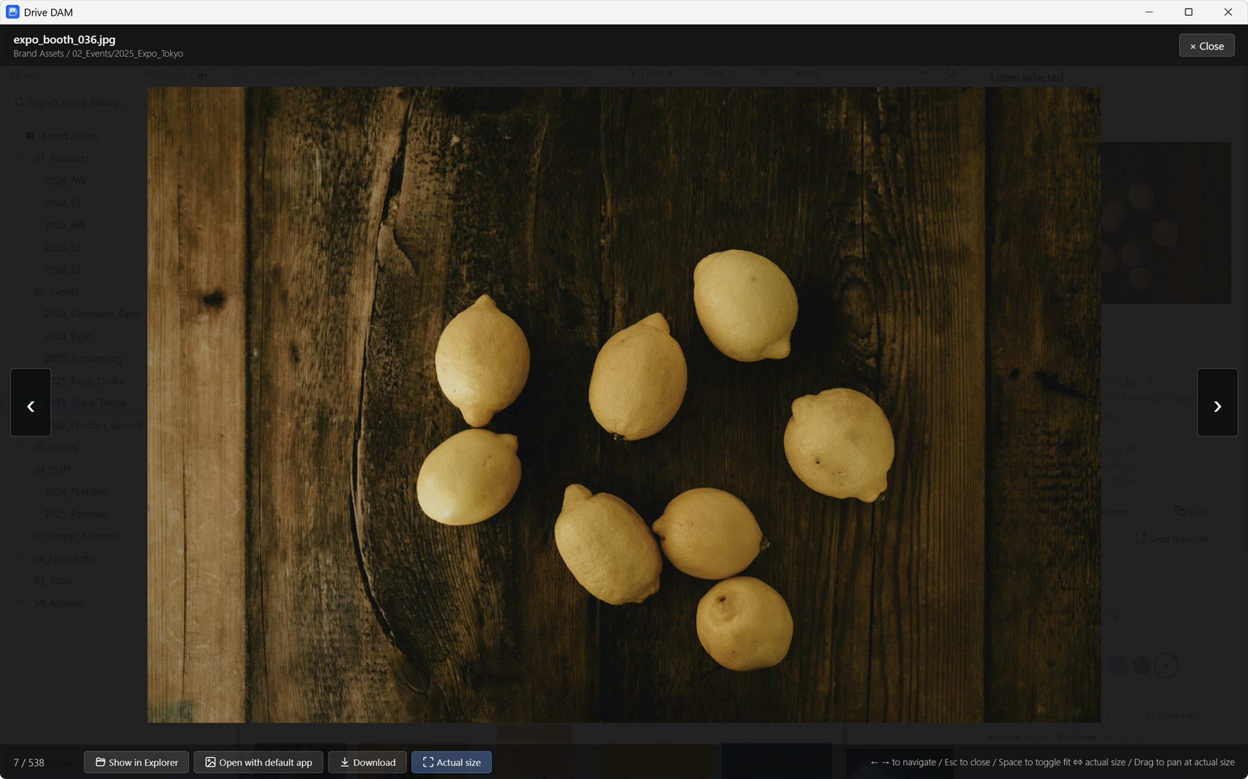 Preview screen showing the original image large, with buttons below: reveal in Explorer, open in default app, download, and 100% view