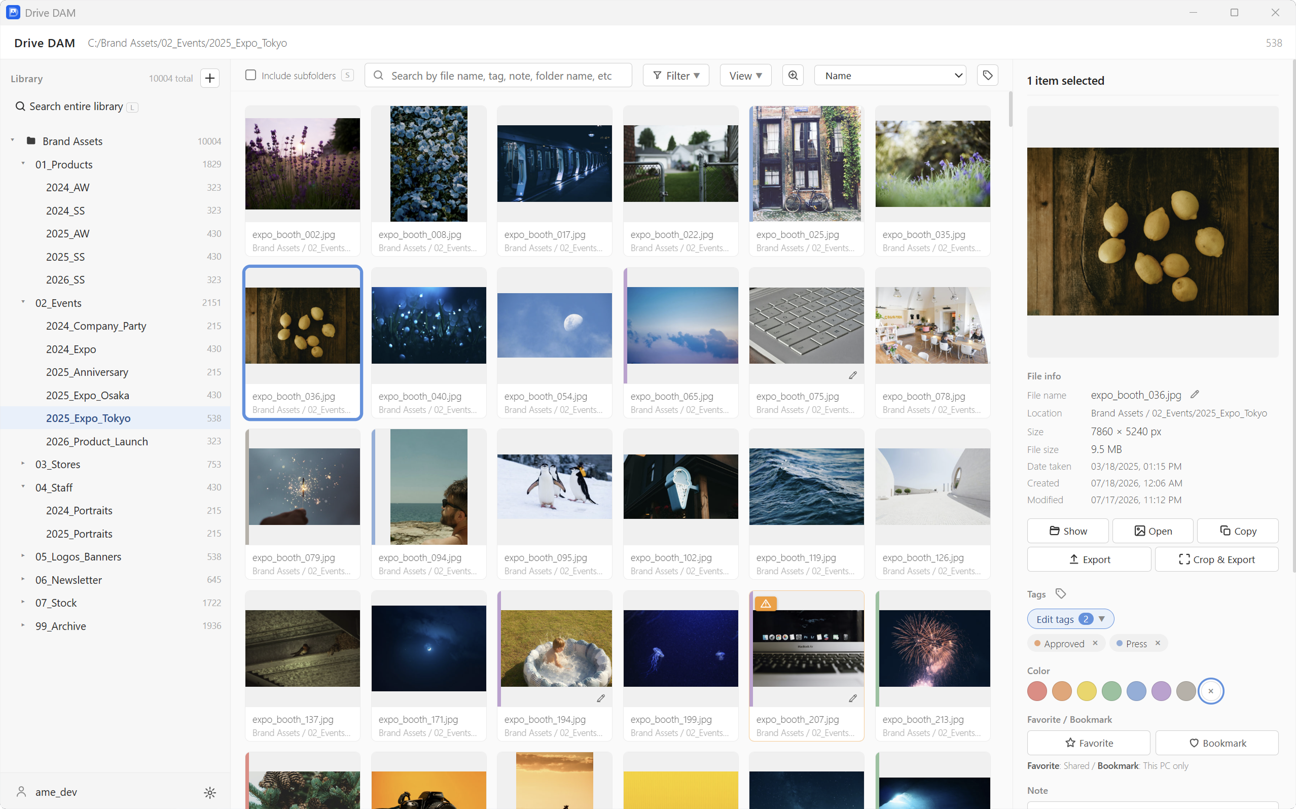 The actual Drive DAM screen: folder tree on the left, thumbnail grid in the center, selection and editing panel on the right